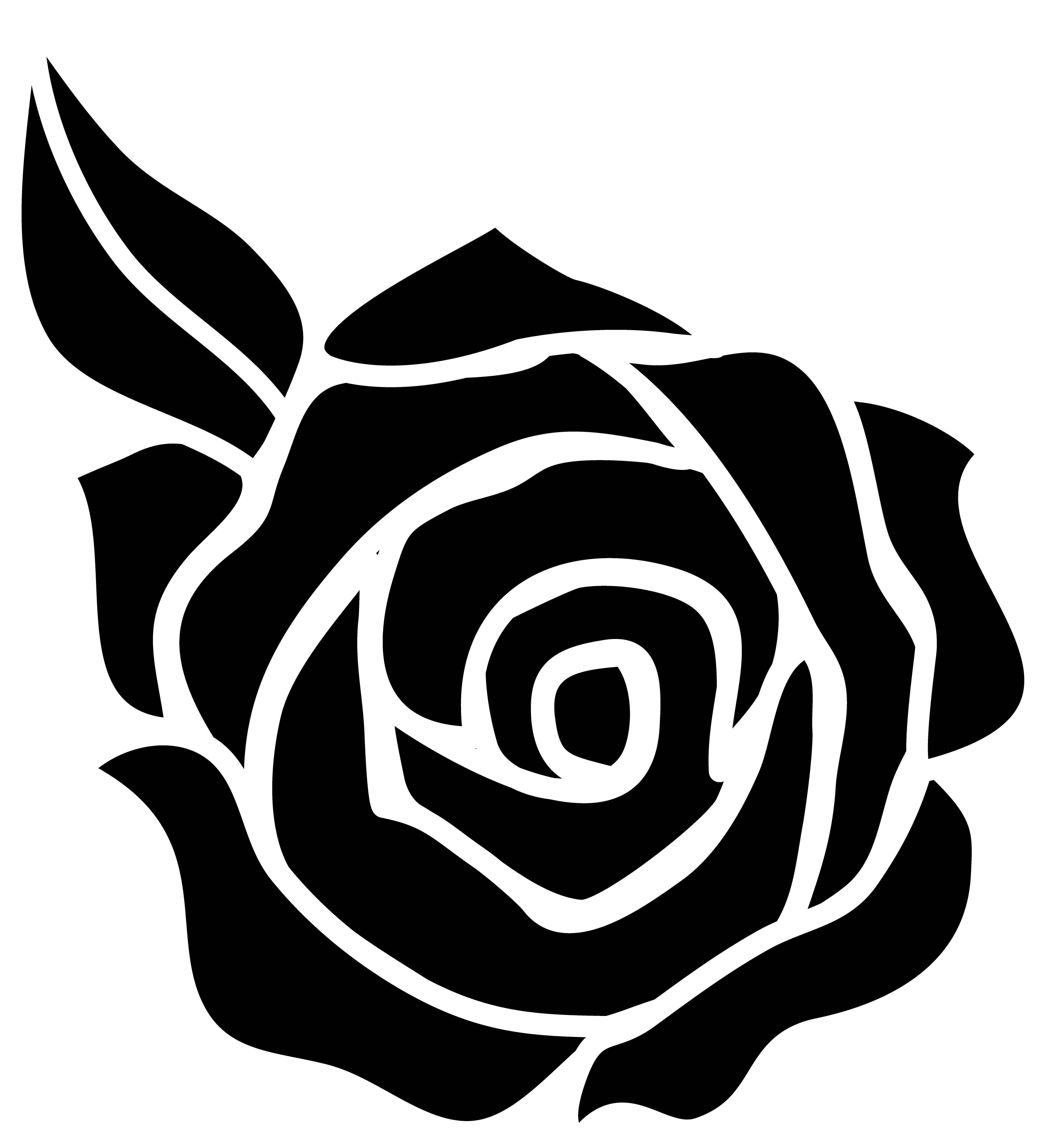 rose flower